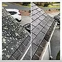Roof cleaning 5